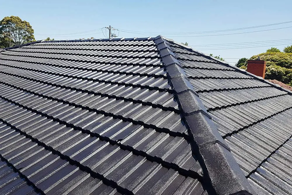 Roof and commercial painting services